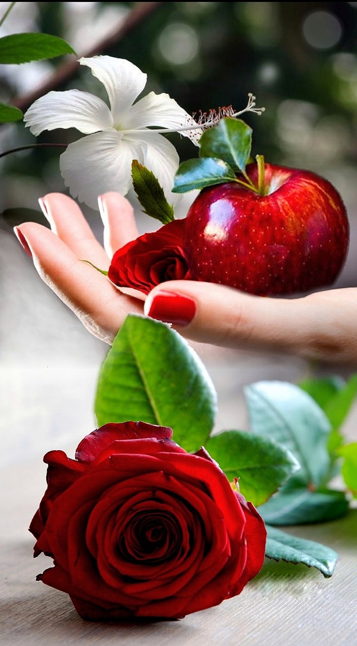 Red & Roses & apple 