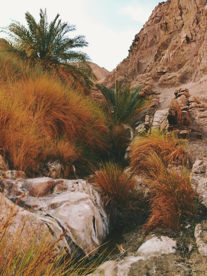 desert landscape