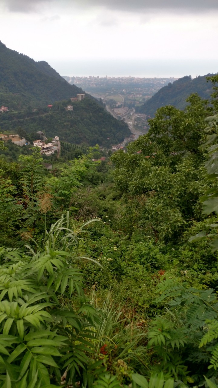 Nature