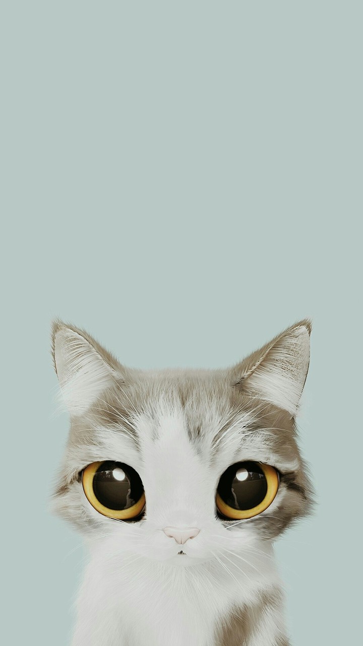 Cat /