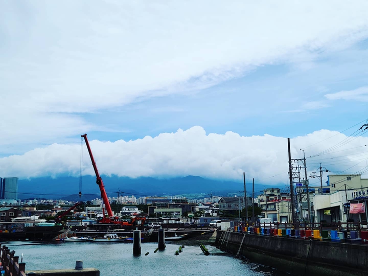 제주도의 항구