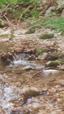 Water