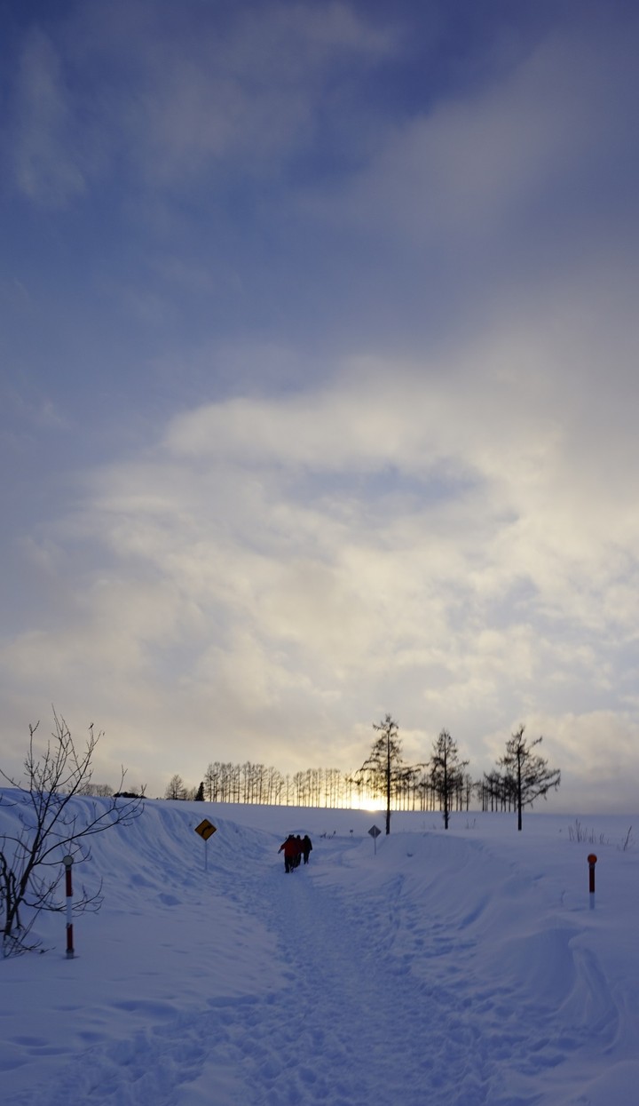 HOKKAIDO   Biei