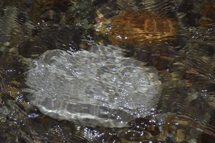 Under The Water.. JayanTi RivEr.. Click : BY ME..