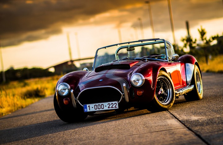 Cobra