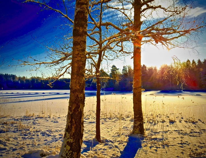 Winter & Ice