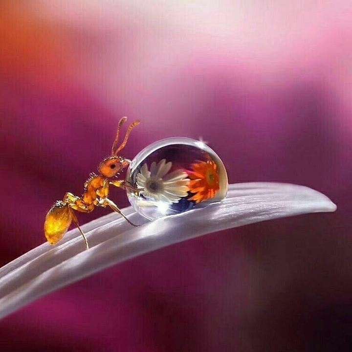 water is Manifestation of life