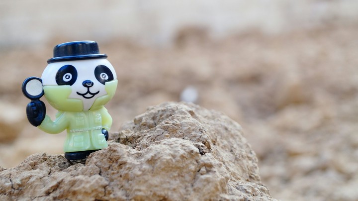 panda