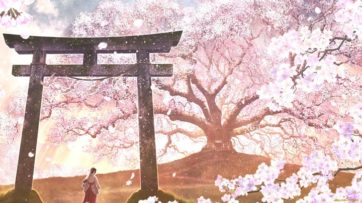 Sakura and woman