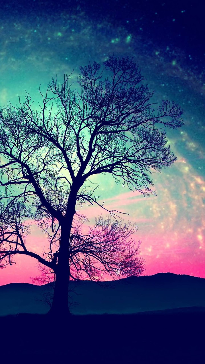 galaxy tree