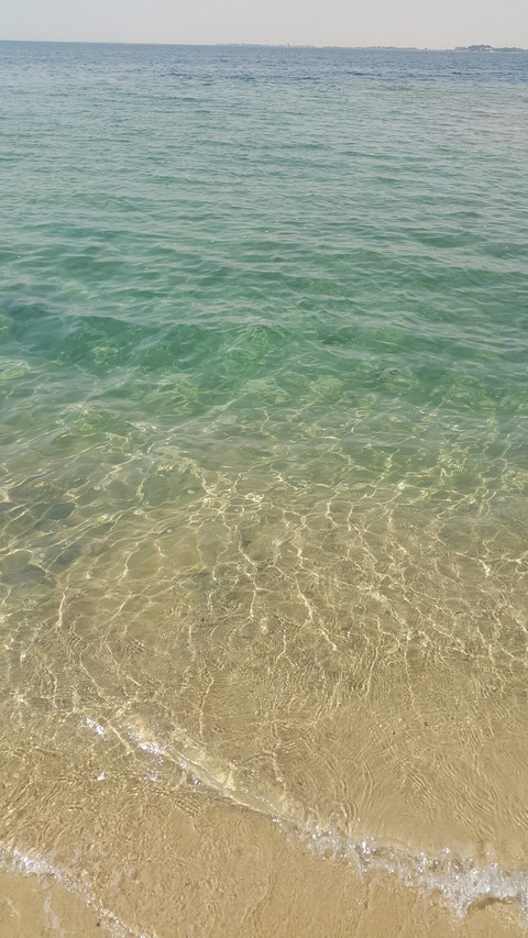 beach
