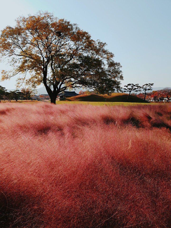 Gyeongju