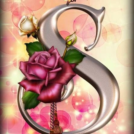 S Rose