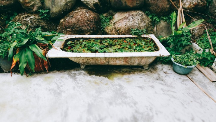 Bathtub