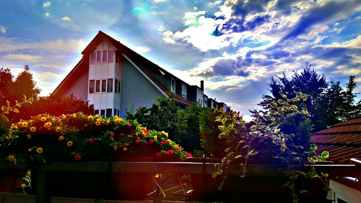sunny