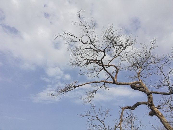 morning click......... by me