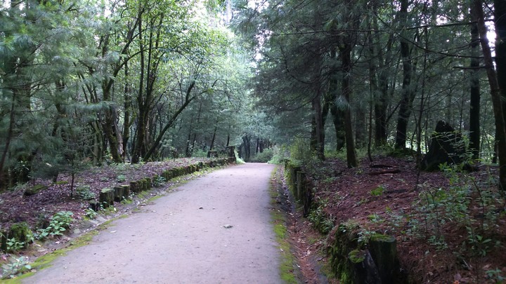 Camino.