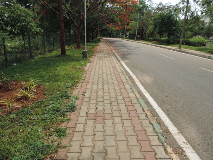 University of Mysore
