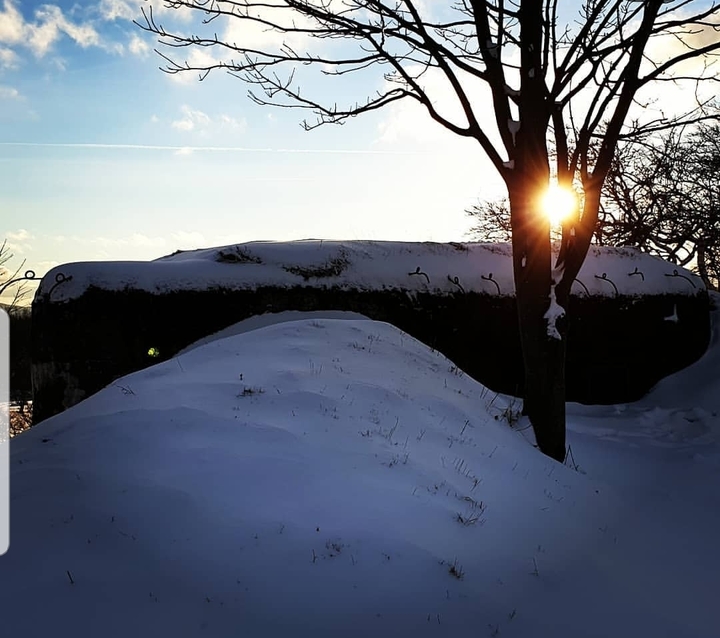 sun