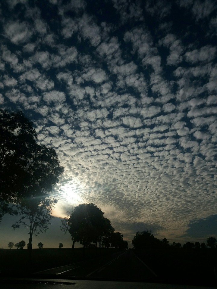 Sky