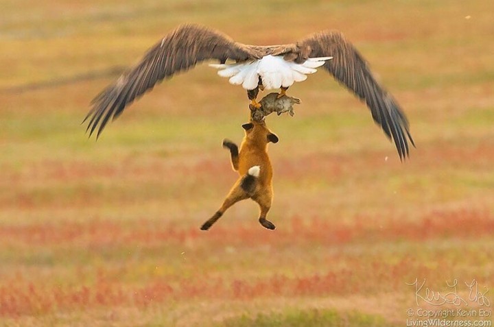 on hunt