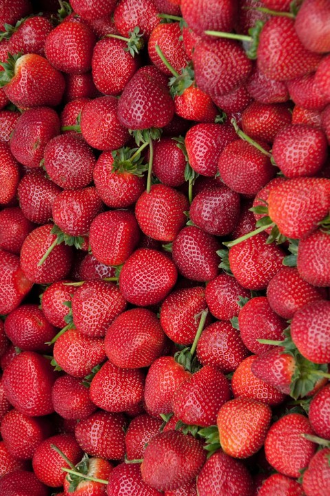 Fruits