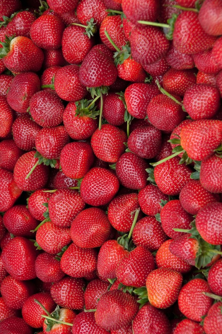 Fruits