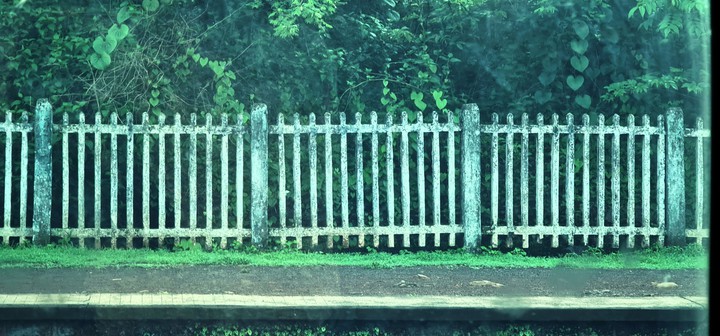 fence