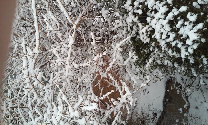 snow