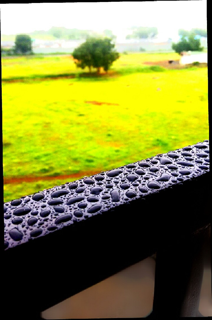 raindrops