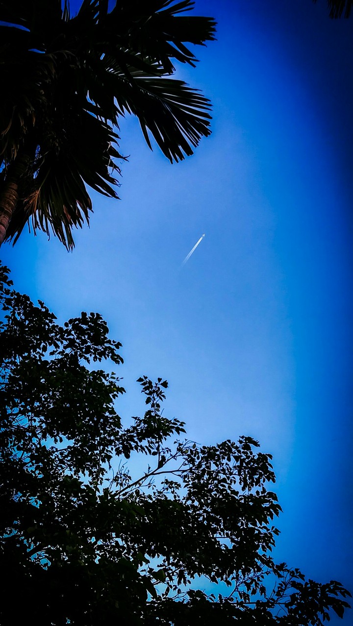 pravin's shot 