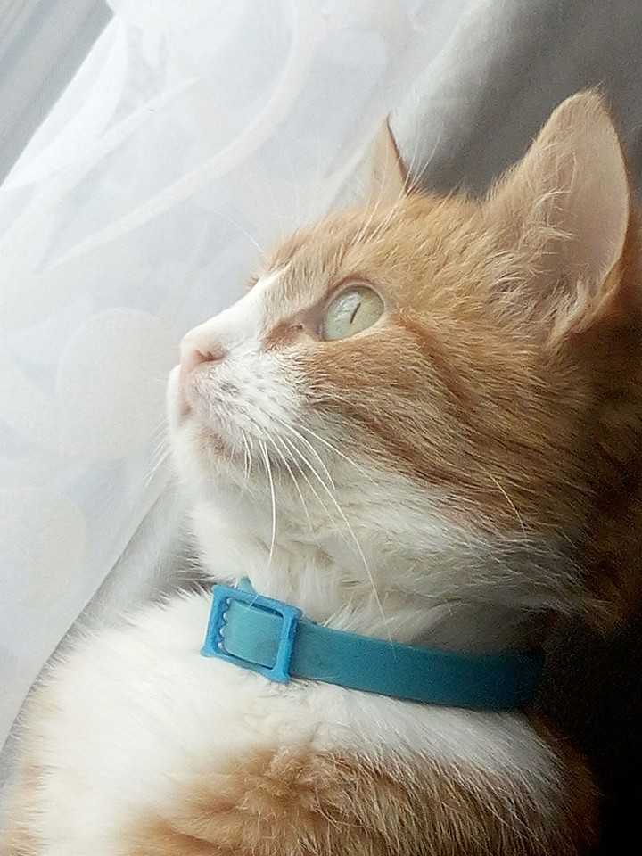 что он там увидел?
