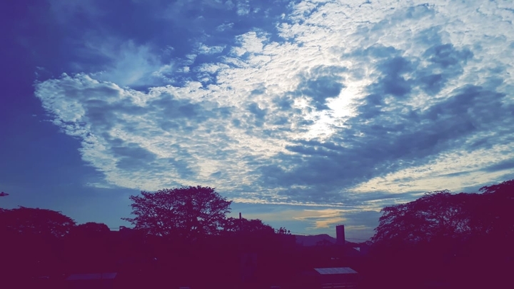 San Pedro Sula Honduras.