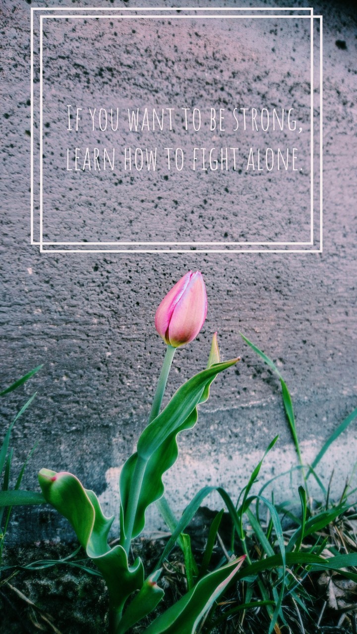 quote