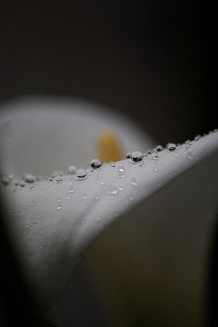 drop of water