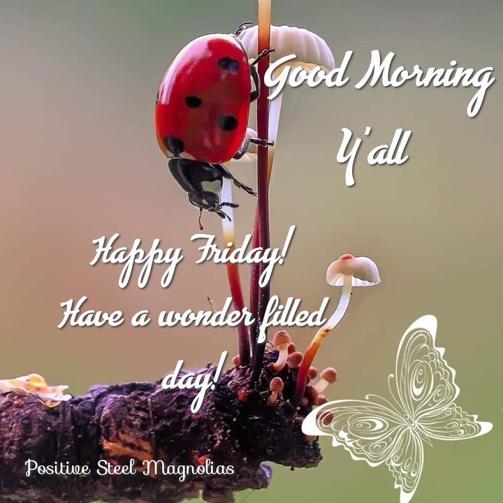 good morning