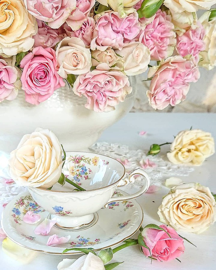 Roses