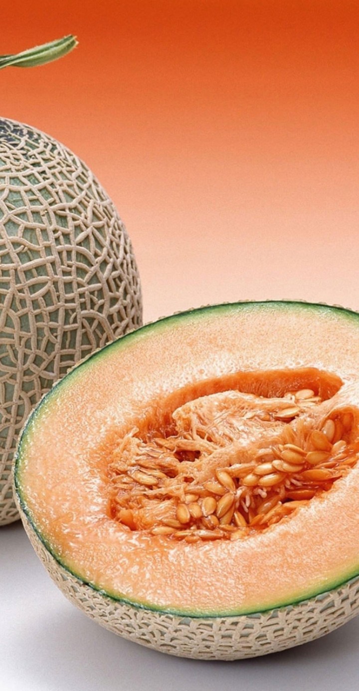 melón
