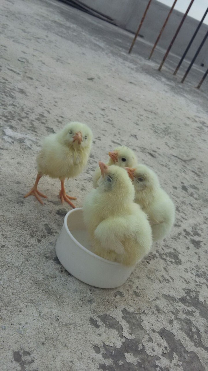 Günadın asker.. 