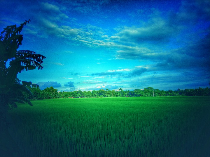 Nature