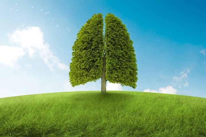 green