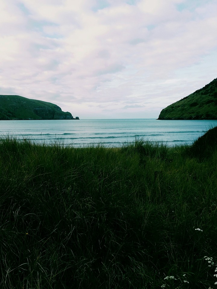 Watching Bays