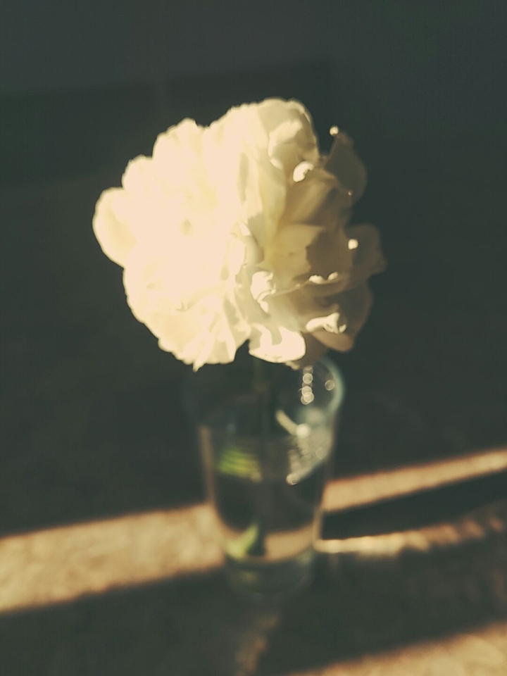 beauty in a glass