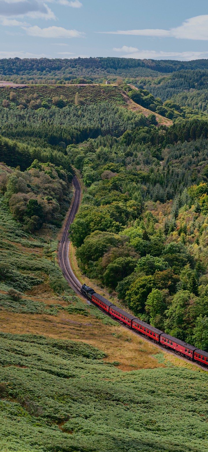 train