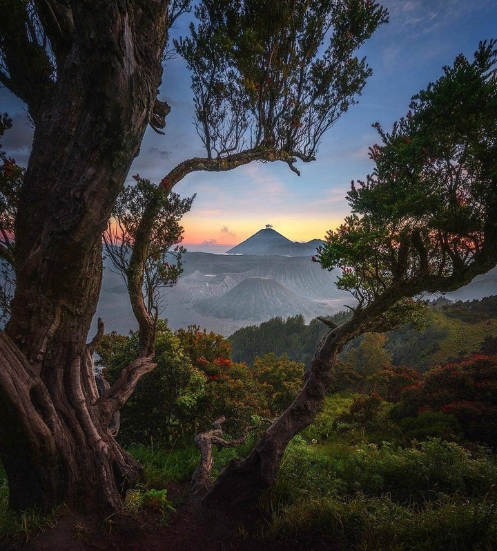 nature