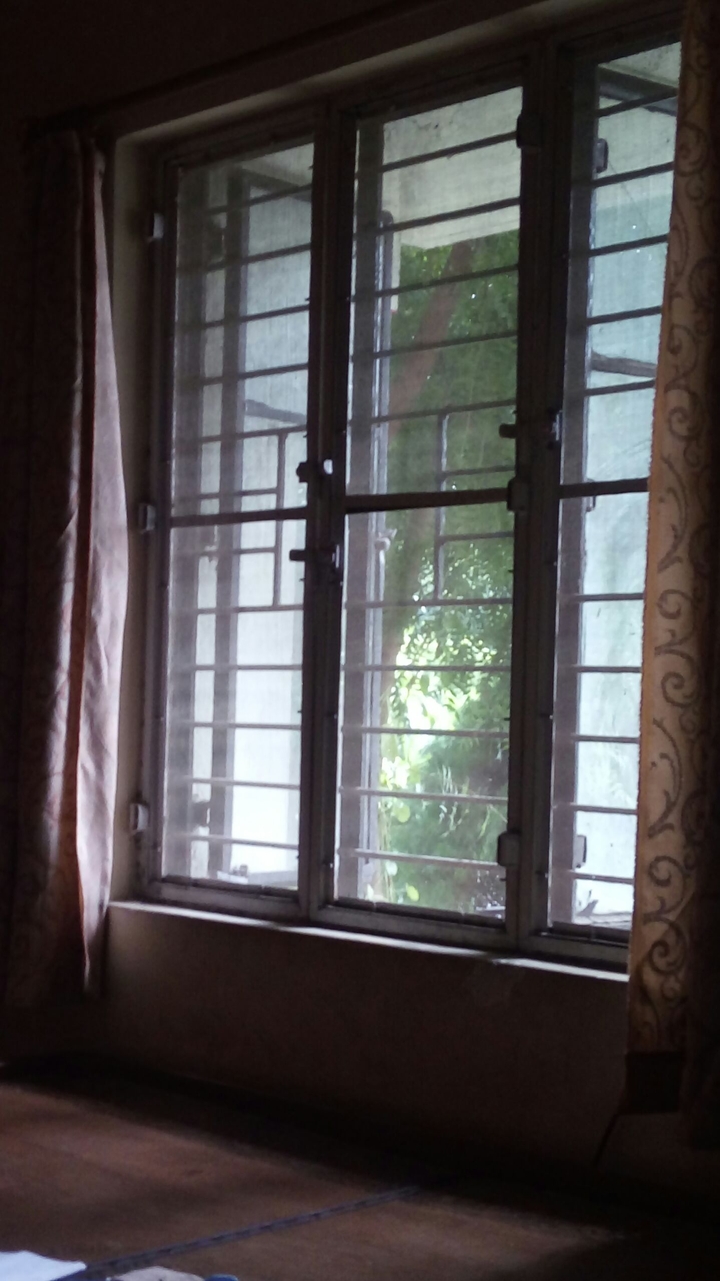 view from window