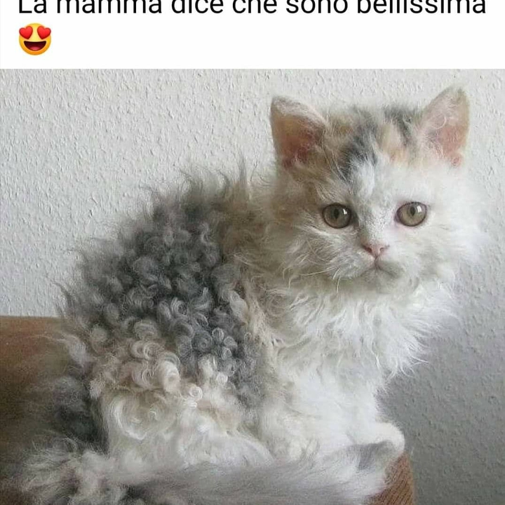 ❤❤