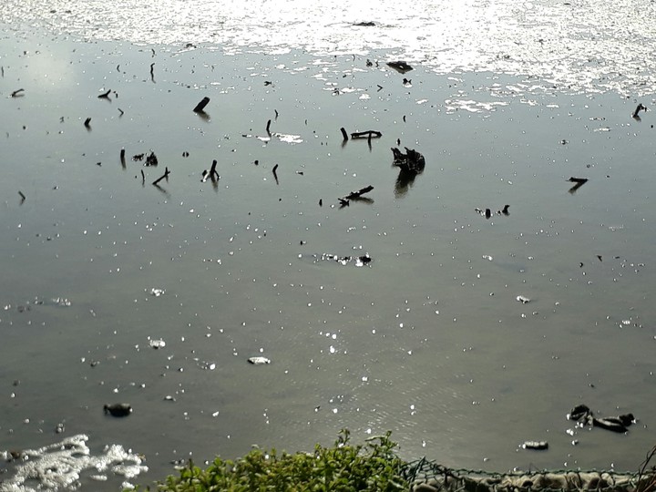 wetland 濕地