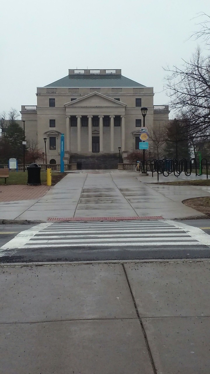 Dreary Day