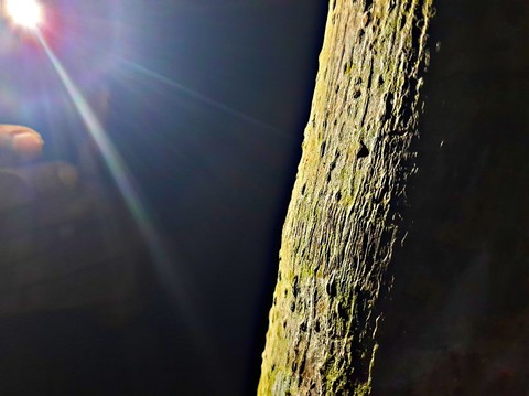 mobile click